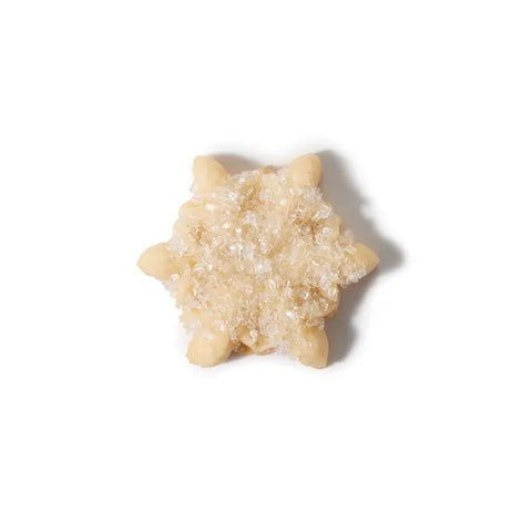 Christmas Cookie Press Disk Set