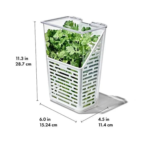Produce Saver - Herb Keeper
